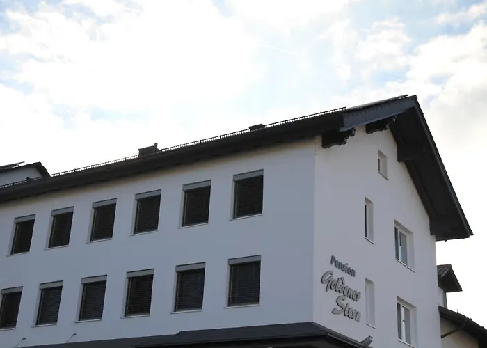 酒店 Goldener Stern 3*